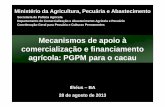App PGPM Cacau - agricultura.gov.br · 13,78 19,91 19,06 21,70 99 00 01 02 03 04 05 06 07 08 09 10 11 12 ... pgpm polÍtica de garantia de preÇos mÍnimos compra financiamento aquisiÇÃo