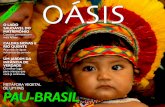 #217 OÁSIS - brasil247.com · semana ao Parque Nacional da Serra da Bocaina. Objetivo: ... palavra brésil difundiu-se a tal ponto que, ... ção ao poder e ao significado da cor