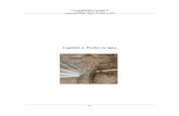 Capítulo 4- Perdas de água - PlinioTomazpliniotomaz.com.br/downloads/livros/livro_conservacao/capitulo4.pdf · Balanço de Agua da Figura (4.1). Perda de água: é toda perda real