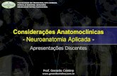 Considerações Anatomoclínicas - Dr. Gerardo Cristinogerardocristino.com.br/.../modelocasosclinicosneuroanatomia.pdf · Considerações Anatomoclínicas - Neuroanatomia Aplicada