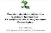 Mosaico da Mata Atlântica Central Fluminense: Experiência ... · APA Guapimirim - Instituto Chico Mendes. O que é um mosaico? •Mosaico ou arte musiva é um embutido de ... (Wikipedia)