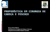 Propedêutica em Cirurgia de Cabeça e Pescoço - SCCP Ribeiro 2011...Lingual trenulum Gingivae (gums) Inferior labial frenulum . Tabela I -Distribuiçåo das Doenças pela Localizaçåo