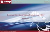 Desenvolvimento de Novos Produtos no INEGIpaginas.fe.up.pt/~falves/proddesenv.pdfRevista Ciência e Tecnologia dos Materiais, SPM, Vol . 19, Nº 1-2, pp. 2-7, Janeiro - Junho 2007.