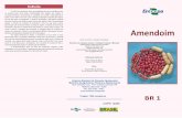 Descrição Doenças Correção e adubação Regiões …ainfo.cnptia.embrapa.br/.../132001/1/Folder-Amendoim-BR1-Curvas.pdf1.700 kg/ha de amendoim em vagens em regime de sequeiro