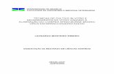 pdf-Disserta o - T cnicas de cultivo in vitro e ...repositorio.unb.br/bitstream/10482/1946/1/LEONARDO MONTEIRO RIB… · tÉcnicas de cultivo in vitro e microenxertia ex vitro visando