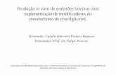 Produção in vitro de embriões bovinos - disciplina · Roteiro I. Produção in vitro de embriões bovinos no Brasil II. Efeitos da suplementação no meio de cultivo III. Biossíntese