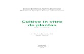 Cultivo in vitro de plantas - livimagens.sct.embrapa.brlivimagens.sct.embrapa.br/amostras/00054390.pdfCultivo in vitro de plantas, em função da boa acolhida que teve a primeira edição