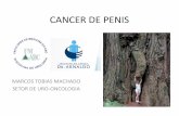 CANCER DE PENIS - rvmais.com.brrvmais.com.br/homologacao/proteus/2016/aulas/09-04/09-04 - 17H20... · cancer de penis incidencia mundial • 0,5 – 1,5 / 100.000 nos paises desenvolvidos