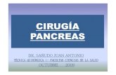 Cirug a del P ncreas - Parte 1ecaths1.s3.amazonaws.com/tecnicasquirurgicas1/Cirugia del Pancreas... · ANATOMÍA localización y relaciones topográficas, divisiones del páncreas,