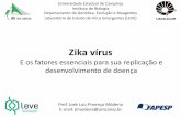 Zika vírusfapesp.br/eventos/2017/alesp/15h35_Jose.pdfestruturas, seus mecanismos replicativos e os mecanismos como eles causam doenças - Incluindo o estudo de vírus negligenciados,