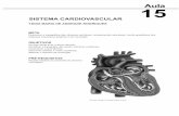 Elementos de Anatomia Humana - cesadufs.com.br · Elementos de Anatomia Humana =; ,jD G:8>DC6B D { JMD H6C
