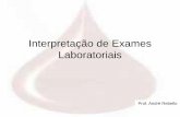 Interpretação de Exames Laboratoriais - :: Rogério; Ultra ...rogerioultra.com.br/arquivos/Aul_oExames.pdf–Alteração na Forma → Anisocitose, Poiquilocitose, Esferócitos, Ovalócitos,