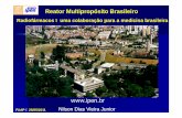 Reator Multipropósito Brasileiro - FAAP Dias Vieira Junior.pdf · Idade dos reatores produtores de Mo 99 Problema estrutural! Reator Opal, Australiano, iniciou operação. Responsabilidades