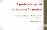 A protecção penal do sistema financeiro - Faculdade de Direito … ·  · 2017-06-21Frederico de Lacerda da Costa Pinto Direito Penal Económico, FDUNL ... sistema informático