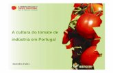 A cultura do tomate de indústria em Portugalcongressotomate.com.br/2011/palestras/A-cultura-do-tomate-de-indu… · A CULTURA DO TOMATE DE INDÚSTRIA EM PORTUGAL Portugal éo 3º