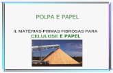 AT 419 POLPA E PAPEL - madeira.ufpr.br · • B. Poliamida : nylon • C. Poliacrílicos ... •O poder calorífico da casca é influenciado pelo seu teor de umidade, que por sua