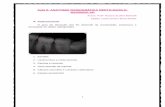Aula 5: ANATOMIA RADIOGRÁFICA DENTO-MAXILO- …cac-php.unioeste.br/projetos/patologia/docs/anatomia_radiografica... · O grau de absorção dos Rx depende da composição, ... Dental