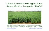 Câmara Temática de Agricultura Sustentável e Irrigação / … · 5,8 (2012) P 29.594 (___) Potencial de Solos Aptos para Irrigação: Regiões do Brasil (mil hectares) BRASIL