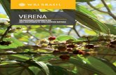 veRenA 1 - WRI Brasilwribrasil.org.br/sites/default/files/uploads/Estudo-ProjetoVERENA.pdf · case # 02 – sYMBiosis croqui de PlanTio espécies acessórias — 408 plantas/ha 01.