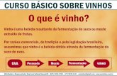 O que é vinho? - Azevinhosazevinhos.com.br/download/CursoBasicoSobreVinho.pdf · O que é vinho? Distribuidor e Representante: Raul José Setubal Bussolotti - (027) 3034-0704 –