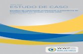 Sergio Paganini Martins - wwp.org.br · Sergio Paganini Martins Este estudo de caso faz parte de uma série de estudos da Iniciativa Brasileira de Aprendizagem por um Mundo sem Pobreza