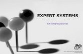 AbdA Systems Inc.abdasystems.com/wp-content/uploads/2014/09/EXPERT_HORIZON_PORT.pdfMichelangelo. Como máquinas ... Elementos-chave para o sucesso dos projetos de um sistema evoluído: