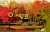 Newsletter Novembro final - Municipio de Oliveira de … do que nunca, temos de encarar as di˜culdades como um desa˜o e investir muito no trabalho, na poupança dos recursos que