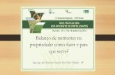 Balanço de nutrientes na propriedade: como fazer e para ...brasil.ipni.net/ipniweb/region/brasil.nsf... · Dourados/MS, 15 e 16 de abril de 2014. Balanço de nutrientes na propriedade