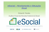 eSocial – Nivelamento e Situação Atual • Resolução Comitê Diretivo do eSocial nº 2, de 30 de agosto de 2016 • Art. 2º O início da obrigatoriedade de utilização do eSocial
