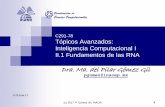 C291-78 Tópicos Avanzados: Inteligencia Computacional I ...pgomez/cursos/IC-I/acetatos/fundamentos.pdf · Predicción de Señales y series de tiempo Caóticas ... Sistemas Neuronales