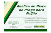 Análise de Risco de Praga para Feijão - agricultura.gov.br · Carlos Artur Franz -Diretor-Substituto Coordenador-Geral de Proteção de Plantas Departamento de Sanidade Vegetal