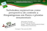 CONTROLE BIOLÓGICO DE DOENÇAS DE PLANTAS supressivos...Substratos supressivos como perspectiva de controle a fitopatógenos em flores e plantas ornamentais Alexandre Visconti Dr.