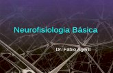 3 Neurofisiologia Básica - Fabio Agertt's Blog · Membrana celular •Bomba sódio-potássio •Complexo de 2 proteínas associadas •Troca 3 íons sódio / 2 íons potássio mediada