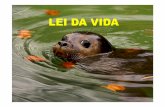 LEI DA VIDA - ibama.gov.bribama.gov.br/sophia/cnia/livros/teses/leidecrimesambientais.pdf · A legislação ambiental ... Destruir, dano, les ... Microsoft PowerPoint - Fotos da fauna