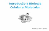 Introdução à citologia - unifra.brunifra.br/professores/14286/aula/Introducao à Biologia Celular.pdf · 1 62 3 4 5 7 8 . Microscópio Óptico . Componentes mínimos de uma célula