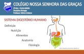Fisiologia da Digestão - ::. Colégio das Irmãs .::cnsg-pi.com.br/repositorio/sistema_digestorio_humano.ppt · PPT file · Web view2014-04-14 · Fisiologia sistema ... Ocorre