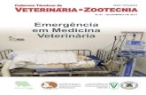 Conselho Regional de Medicina Veterinária do Estado de ... · Conselho Regional de Medicina Veterinária do Estado de Minas Gerais - CRMV-MG Presidente: Prof. Nivaldo da Silva E-mail: