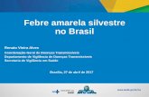 Febre amarela silvestre no Brasilportalarquivos.saude.gov.br/images/pdf/2017/maio/03/1. c - FA_CIT... · Distribuição por sexo e faixa etária dos casos confirmados de febre amarela
