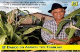 O agricultor familiar pode contar com o Pronaf do Banco … Banco do Brasil e o Pronaf O Programa Nacional de Fortalecimento da Agricultura Familiar – Pronaf foi criado com objetivo