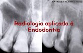 Radiologia aplicada à Endodontia - Patrícia Ruiz Spyere · Informações Capacidade de interpretação Atenção para estruturas circunvizinhas e patologias Radiografia de boa qualidade