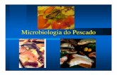 Microbiologia do Pescado - ucbweb.castelobranco.brucbweb.castelobranco.br/webcaf/arquivos/13116/5564/microbiologia... · Tipo de água – doce – salgada • costa • mar aberto