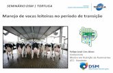 Manejo de vacas leiteiras no período de transiçãopecnordestefaec.org.br/2015/wp-content/uploads/2015/06/manejo... · J. Dairy Sci. 92 :5988–5999. ... Figura. Avéolos e dutos