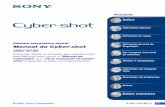 Manual da Cyber-shot - … · DSC-S730 Antes de utilizar a unidade, leia atentamente este Manual bem como o “Manual de instruções ...