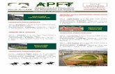 APFTapfturfe.com.br/download/3-12-2013_14-20_11_128.pdf · 1 apresentação – 1 vitória – 800m GM – 44’’305 P: F.B.L. C: Paulo Rodolfo Fischer T: S. Dorneles J: ... Wakan