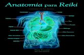 Anatomia para Reiki · Glândulas Adrenais: Fazem parte do sistema endócrino. Secretam hormônios que regulam várias funções no corpo, uma das quais é a resposta ao estresse