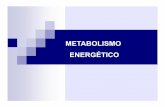 Metabolismo energetico [Modo de Compatibilidade] energetico.pdf · Taxa metabólica (TM) = metabolismo energético por unidade de tempo TM pode ser determinada de 3 maneiras: 1. diferença