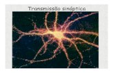 Transmissão sináptica - neurofisiologia.unifesp.br · •Distribuição iônica através da membrana de um neurônio em repouso: Íon K+ Na + Cl-A-[i] mM 400 50 52 385 [e] mM 20