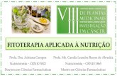 FITOTERAPIA APLICADA À NUTRIÇÃO - ribecancer.com.br · FITOTERAPIA “São considerados medicamentos fitoterápicos os obtidos com emprego exclusivo de matérias-primas ativas