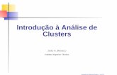 Introdução à Análise de Clusters - Técnico Lisboa · Perguntas que se colocam no decorrer da análise (i) Como seleccionar os objectos? (ii) Que variáveis devem ser incluídas?