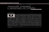 ROSENFIELD, C. L . . Autonomia outorgada e ... - … · 202 SOCIOLOGIAS Sociologias, Porto Alegre, ano 6, nº 12, jul/dez 2004, p. 202-227 DOSSIÊ Autonomia outorgada e apropriação